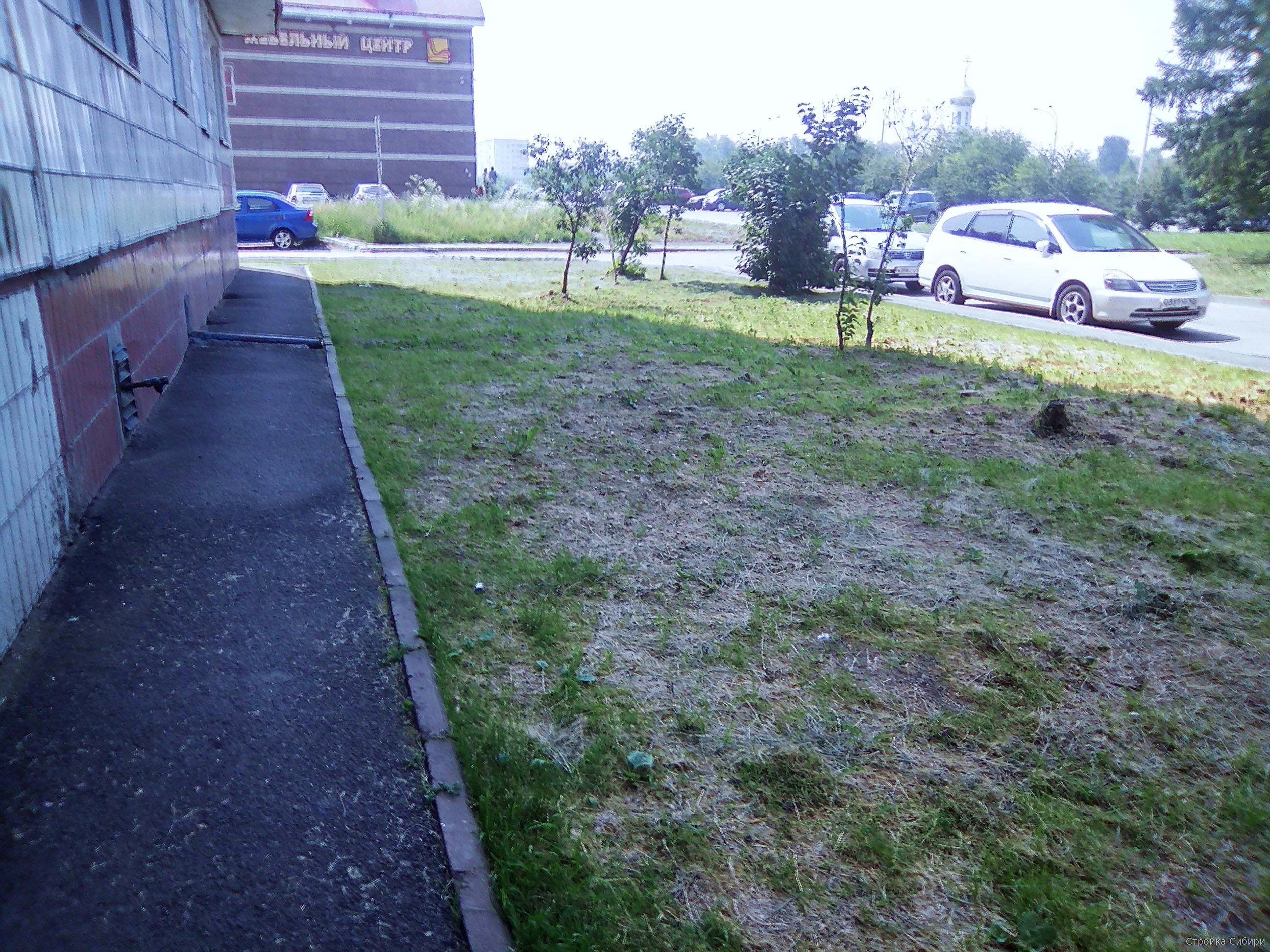 Скошенная трава у дома